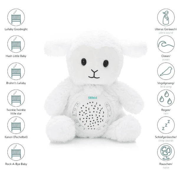 Fillikid Peluche Con Luz Y Sonido Oveja 5 Fillikid Peluche Con Luz Y Sonido Oveja - Imagen 5