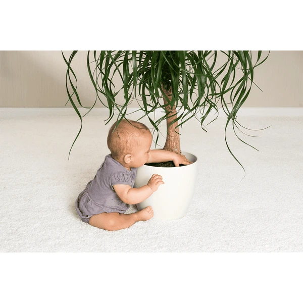 Reer Red De Protección De Macetas Ø30cm Negro 2 Reer Red De Protección De Macetas Ø30cm Negro - Imagen 2