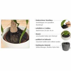 Reer Red De Protección De Macetas Ø30cm Negro 9 Reer Red De Protección De Macetas Ø30cm Negro -Roba Ventas reer red de proteccion de macetas o30cm negro a242205 4