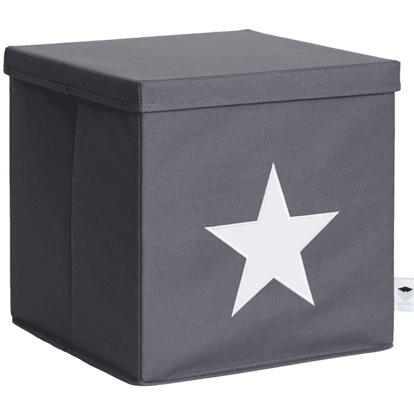 STORE !t Caja De Ordenación De Estrellas, Gris Con Estrella Blanca 1 STORE !t Caja De Ordenación De Estrellas, Gris Con Estrella Blanca