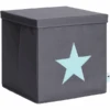 STORE !t Caja De Ordenación De Estrellas, Gris Con Estrella Verde Menta