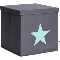 STORE !t Caja De Ordenación De Estrellas, Gris Con Estrella Verde Menta
